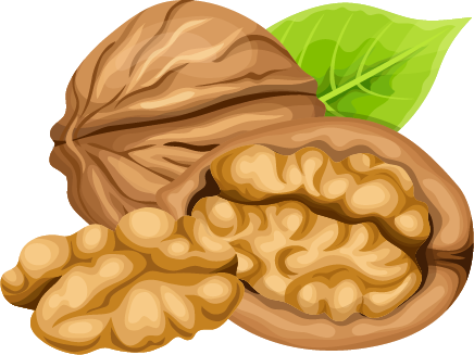 noix